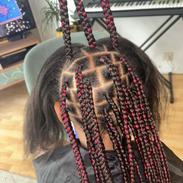 salon de coiffure afro tresse tresses box braids crochet braids vanilles tissages paris 75 77 78 91 92 93 94 95 DSMQAFAJ