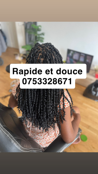 salon de coiffure afro tresse tresses box braids crochet braids vanilles tissages paris 75 77 78 91 92 93 94 95 IWFBNTEL