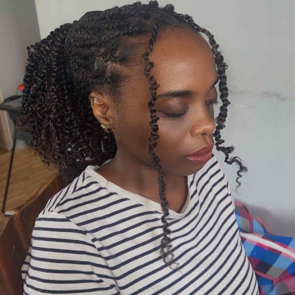 salon de coiffure afro tresse tresses box braids crochet braids vanilles tissages paris 75 77 78 91 92 93 94 95 LLBRUNZW