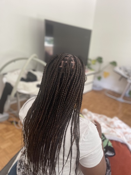 salon de coiffure afro tresse tresses box braids crochet braids vanilles tissages paris 75 77 78 91 92 93 94 95 LNYGTTRM