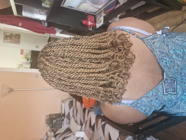 salon de coiffure afro tresse tresses box braids crochet braids vanilles tissages paris 75 77 78 91 92 93 94 95 NDJLAAGL