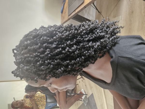 salon de coiffure afro tresse tresses box braids crochet braids vanilles tissages paris 75 77 78 91 92 93 94 95 RWIPJWQW