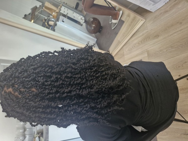 salon de coiffure afro tresse tresses box braids crochet braids vanilles tissages paris 75 77 78 91 92 93 94 95 KLMXBDHS