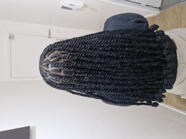 salon de coiffure afro tresse tresses box braids crochet braids vanilles tissages paris 75 77 78 91 92 93 94 95 VJETFICB
