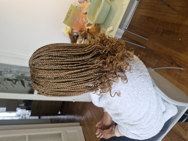 salon de coiffure afro tresse tresses box braids crochet braids vanilles tissages paris 75 77 78 91 92 93 94 95 GHKBZXLG