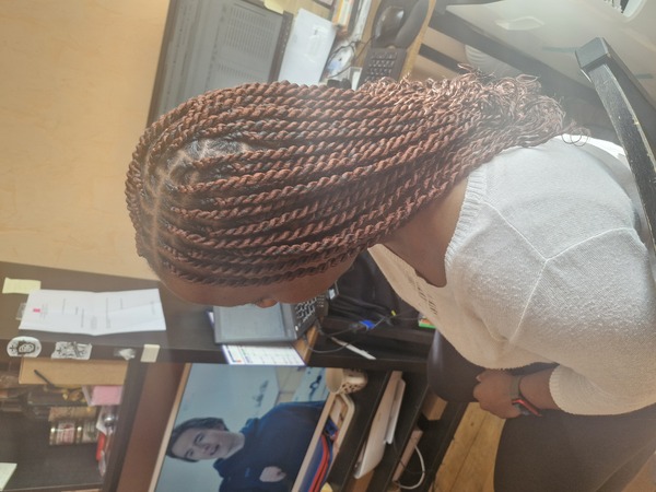salon de coiffure afro tresse tresses box braids crochet braids vanilles tissages paris 75 77 78 91 92 93 94 95 WNWHCKET
