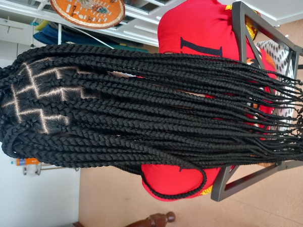 salon de coiffure afro tresse tresses box braids crochet braids vanilles tissages paris 75 77 78 91 92 93 94 95 LYWKRKIA