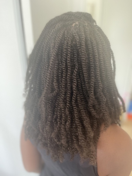 salon de coiffure afro tresse tresses box braids crochet braids vanilles tissages paris 75 77 78 91 92 93 94 95 INIWWFKH