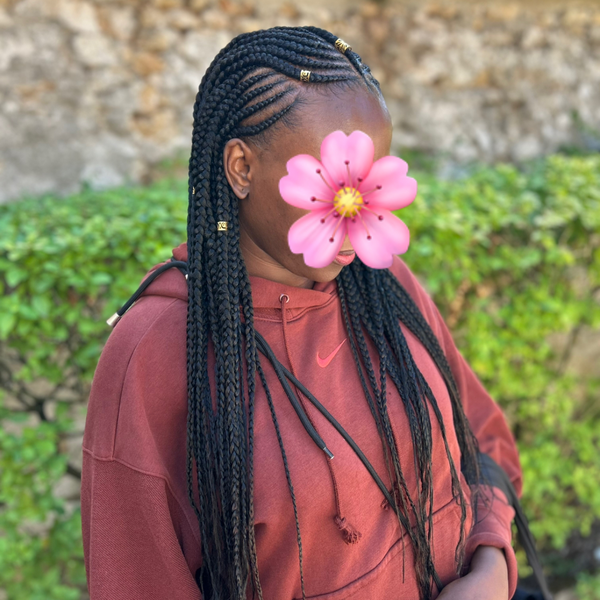 salon de coiffure afro tresse tresses box braids crochet braids vanilles tissages paris 75 77 78 91 92 93 94 95 BEXHEVYH