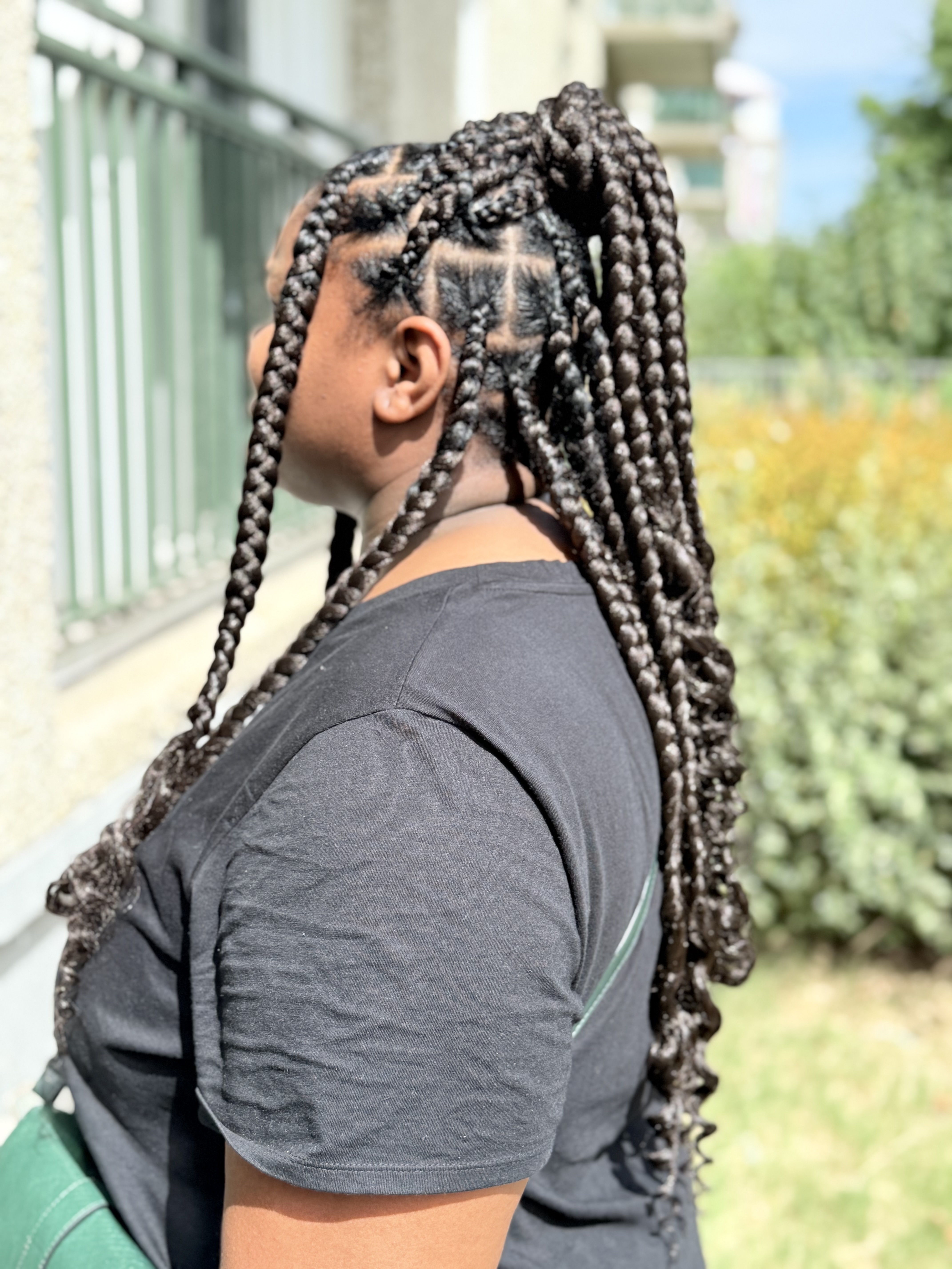 salon de coiffure afro tresse tresses box braids crochet braids vanilles tissages paris 75 77 78 91 92 93 94 95 EAGPJTBY