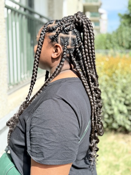 salon de coiffure afro tresse tresses box braids crochet braids vanilles tissages paris 75 77 78 91 92 93 94 95 LUYOIUHO