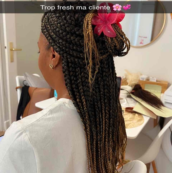 salon de coiffure afro tresse tresses box braids crochet braids vanilles tissages paris 75 77 78 91 92 93 94 95 RNHNETFN