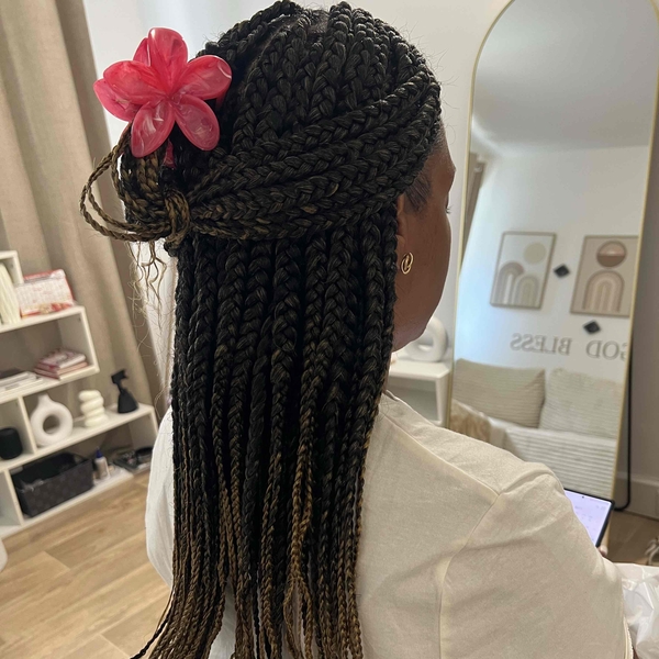 salon de coiffure afro tresse tresses box braids crochet braids vanilles tissages paris 75 77 78 91 92 93 94 95 WYACCTGW