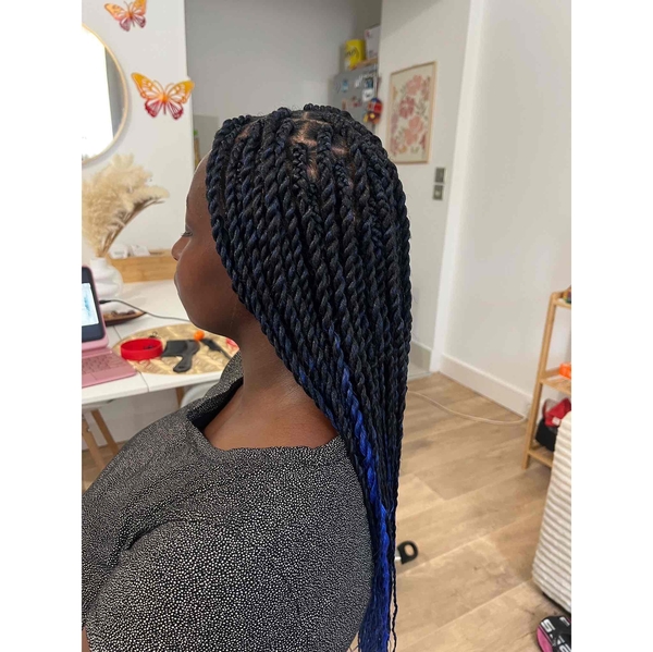 salon de coiffure afro tresse tresses box braids crochet braids vanilles tissages paris 75 77 78 91 92 93 94 95 DYBOLFZF