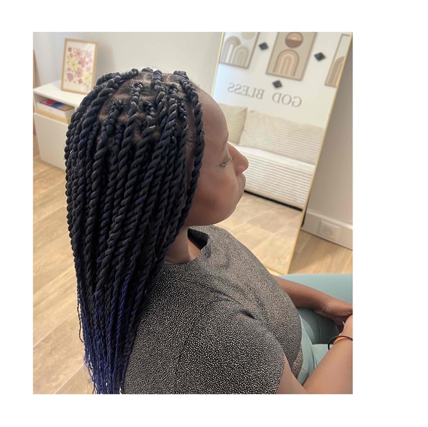 salon de coiffure afro tresse tresses box braids crochet braids vanilles tissages paris 75 77 78 91 92 93 94 95 SZXRUHYT