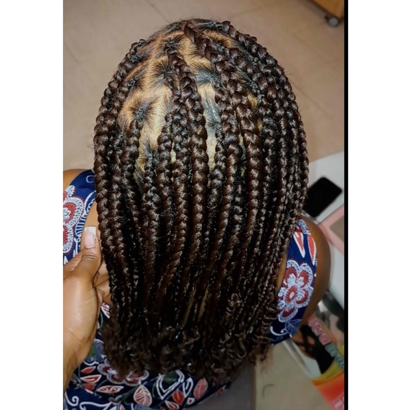 salon de coiffure afro tresse tresses box braids crochet braids vanilles tissages paris 75 77 78 91 92 93 94 95 KFYQURIE