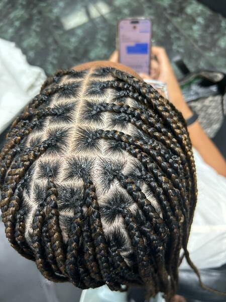 salon de coiffure afro tresse tresses box braids crochet braids vanilles tissages paris 75 77 78 91 92 93 94 95 PRNGEQIM