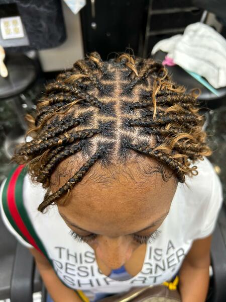 salon de coiffure afro tresse tresses box braids crochet braids vanilles tissages paris 75 77 78 91 92 93 94 95 CPLQPSMY