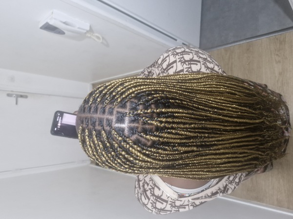 salon de coiffure afro tresse tresses box braids crochet braids vanilles tissages paris 75 77 78 91 92 93 94 95 RRWBIGSY