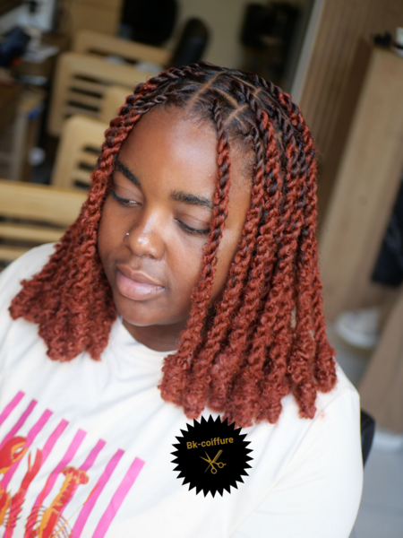 salon de coiffure afro tresse tresses box braids crochet braids vanilles tissages paris 75 77 78 91 92 93 94 95 LXEBUJIW