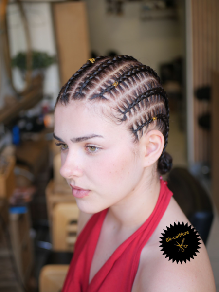 salon de coiffure afro tresse tresses box braids crochet braids vanilles tissages paris 75 77 78 91 92 93 94 95 OVKSNWGB