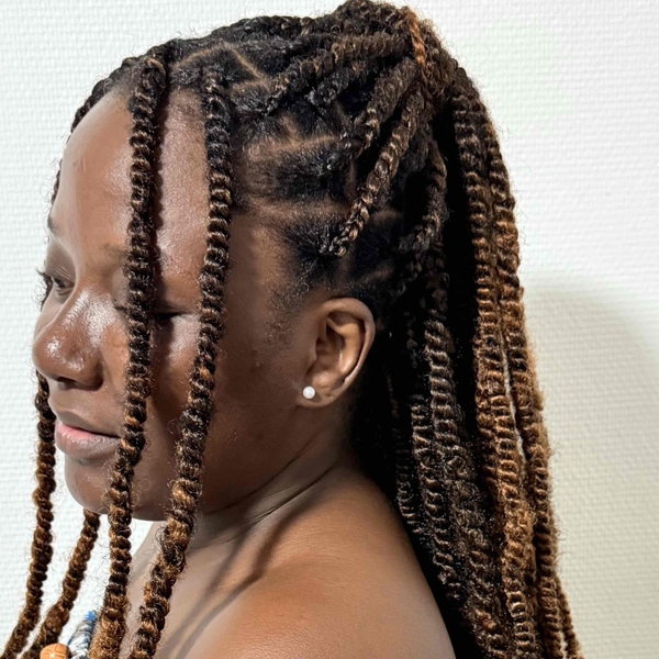 salon de coiffure afro tresse tresses box braids crochet braids vanilles tissages paris 75 77 78 91 92 93 94 95 XXTLWIKH