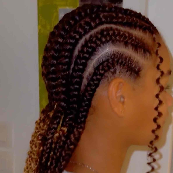 salon de coiffure afro tresse tresses box braids crochet braids vanilles tissages paris 75 77 78 91 92 93 94 95 FBTYPYXN