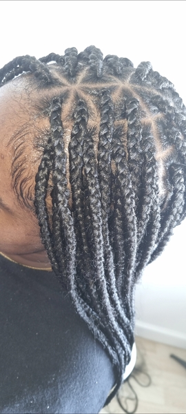 salon de coiffure afro tresse tresses box braids crochet braids vanilles tissages paris 75 77 78 91 92 93 94 95 AZATNTTW