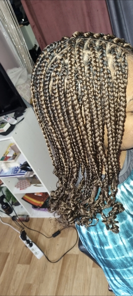 salon de coiffure afro tresse tresses box braids crochet braids vanilles tissages paris 75 77 78 91 92 93 94 95 MGJSYAYU