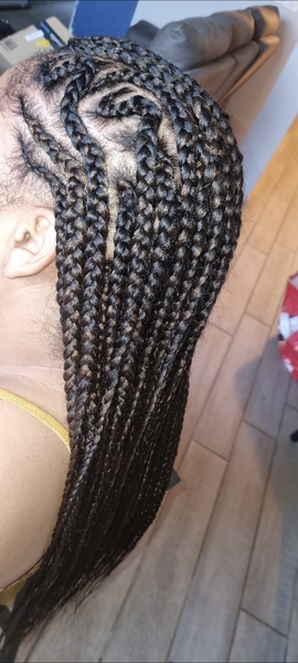 salon de coiffure afro tresse tresses box braids crochet braids vanilles tissages paris 75 77 78 91 92 93 94 95 EUVMVUNP