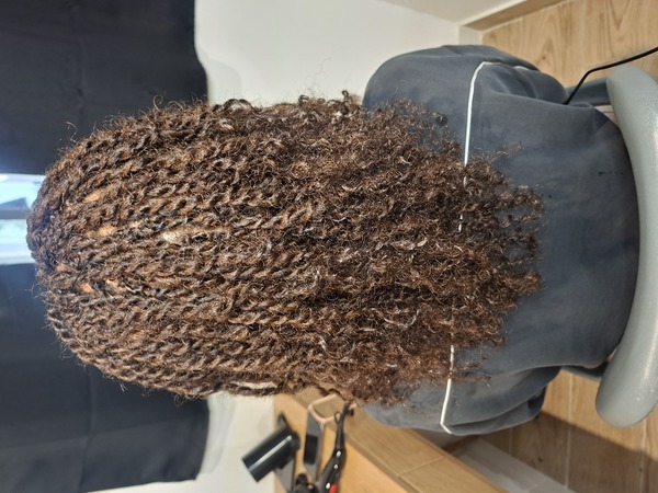 salon de coiffure afro tresse tresses box braids crochet braids vanilles tissages paris 75 77 78 91 92 93 94 95 BSYZPBJD