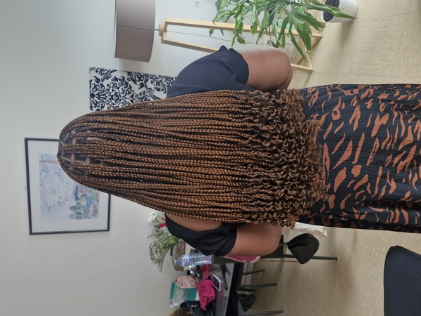salon de coiffure afro tresse tresses box braids crochet braids vanilles tissages paris 75 77 78 91 92 93 94 95 HNHZWCUY