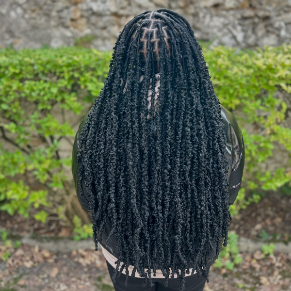 salon de coiffure afro tresse tresses box braids crochet braids vanilles tissages paris 75 77 78 91 92 93 94 95 DWHXVPBC