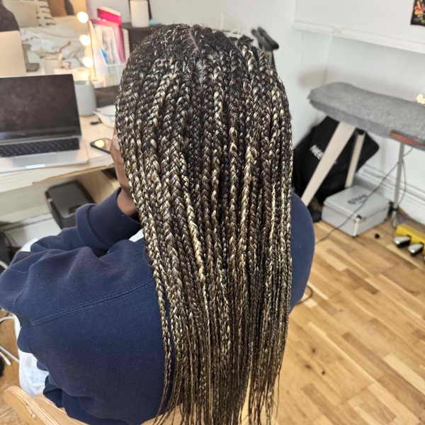 salon de coiffure afro tresse tresses box braids crochet braids vanilles tissages paris 75 77 78 91 92 93 94 95 AKGEMFVM