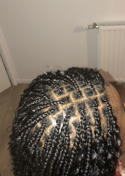 salon de coiffure afro tresse tresses box braids crochet braids vanilles tissages paris 75 77 78 91 92 93 94 95 LULHMIEO