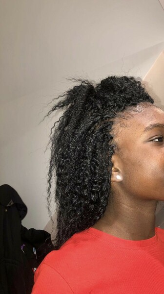 salon de coiffure afro tresse tresses box braids crochet braids vanilles tissages paris 75 77 78 91 92 93 94 95 UIXUQHHD