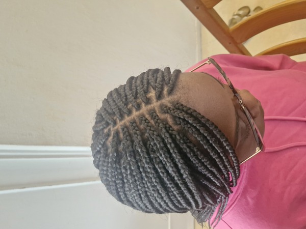 salon de coiffure afro tresse tresses box braids crochet braids vanilles tissages paris 75 77 78 91 92 93 94 95 YPWQTPRT