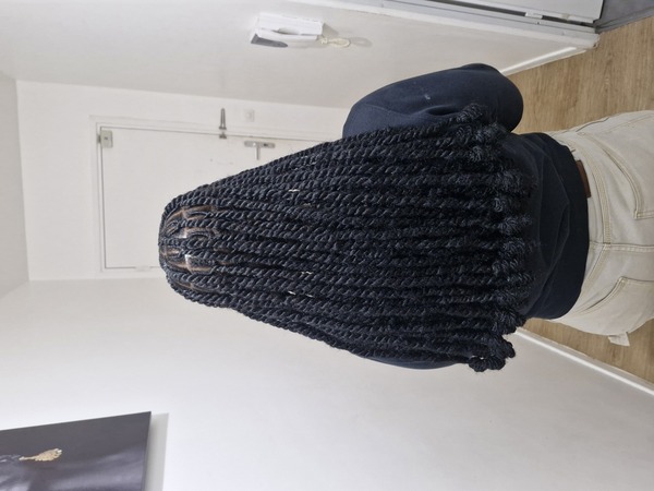salon de coiffure afro tresse tresses box braids crochet braids vanilles tissages paris 75 77 78 91 92 93 94 95 DLWIQIQC