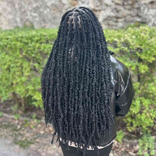 salon de coiffure afro tresse tresses box braids crochet braids vanilles tissages paris 75 77 78 91 92 93 94 95 CZYSOQSI