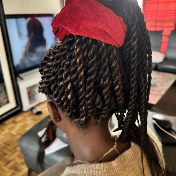 salon de coiffure afro tresse tresses box braids crochet braids vanilles tissages paris 75 77 78 91 92 93 94 95 POHPQRHV