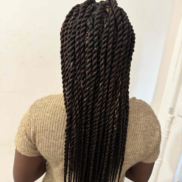 salon de coiffure afro tresse tresses box braids crochet braids vanilles tissages paris 75 77 78 91 92 93 94 95 EMNDPACO