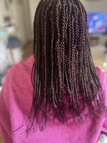 salon de coiffure afro tresse tresses box braids crochet braids vanilles tissages paris 75 77 78 91 92 93 94 95 EINPPINT