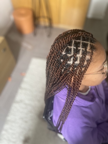 salon de coiffure afro tresse tresses box braids crochet braids vanilles tissages paris 75 77 78 91 92 93 94 95 CZHMVHBM