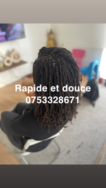 salon de coiffure afro tresse tresses box braids crochet braids vanilles tissages paris 75 77 78 91 92 93 94 95 EWNSZSUD