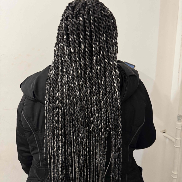 salon de coiffure afro tresse tresses box braids crochet braids vanilles tissages paris 75 77 78 91 92 93 94 95 QBALYWKI