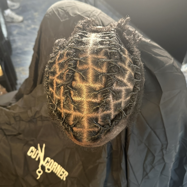 salon de coiffure afro tresse tresses box braids crochet braids vanilles tissages paris 75 77 78 91 92 93 94 95 QXICPZID