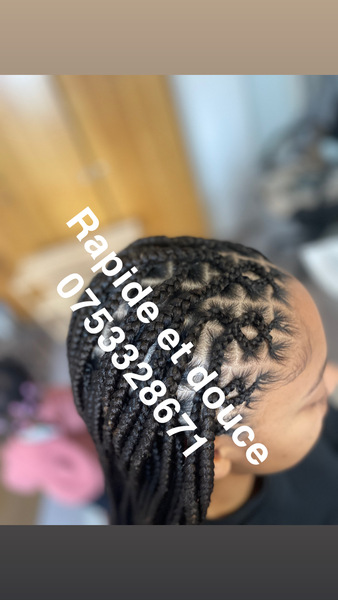 salon de coiffure afro tresse tresses box braids crochet braids vanilles tissages paris 75 77 78 91 92 93 94 95 OWIYRXHQ