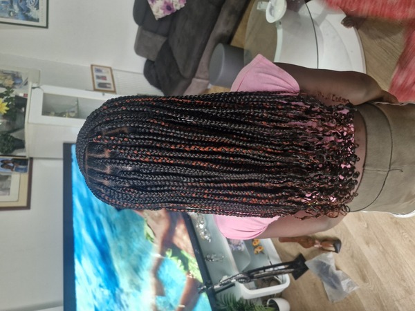 salon de coiffure afro tresse tresses box braids crochet braids vanilles tissages paris 75 77 78 91 92 93 94 95 WDNSKEMK