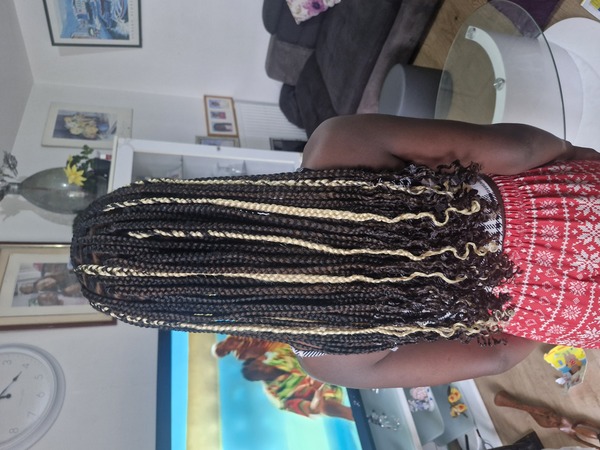 salon de coiffure afro tresse tresses box braids crochet braids vanilles tissages paris 75 77 78 91 92 93 94 95 FCEZLCUU