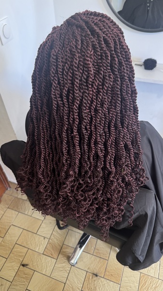 salon de coiffure afro tresse tresses box braids crochet braids vanilles tissages paris 75 77 78 91 92 93 94 95 YQXOTNWP